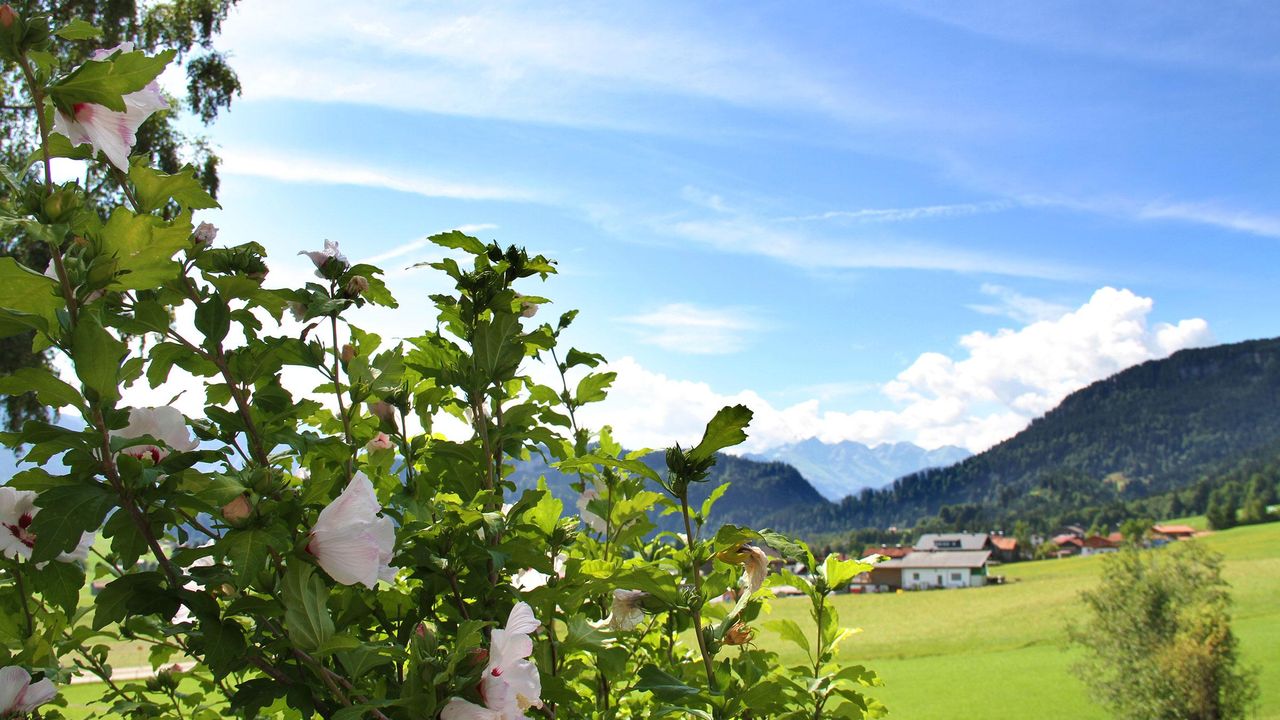 Bergzauber_Bolsterlang_Chalet_Bergjuwel_0427_www Bergzauber_Bolsterlang_Chalet_Bergjuwel_0427_www